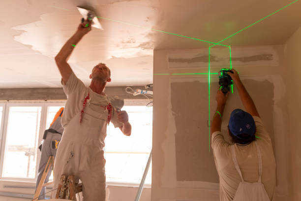 Best Ceiling Drywall Installation  in La Grange, IL